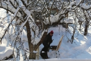 IMG_7202_44-1
