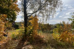 img_8394