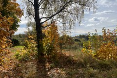 img_8396