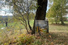 img_8464