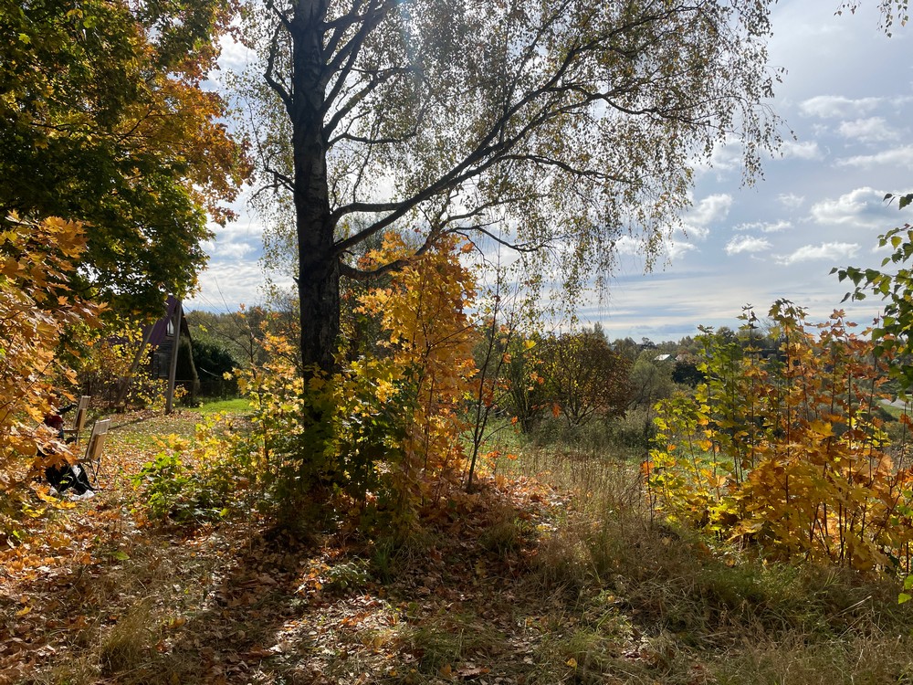 img_8394