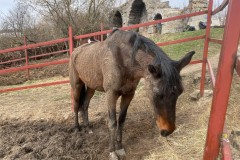 img_5366