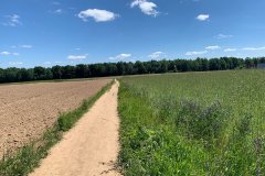 289413234_2016537001853711_1613438421833565193_n