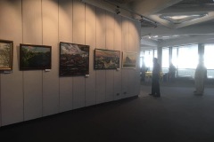 img_0349