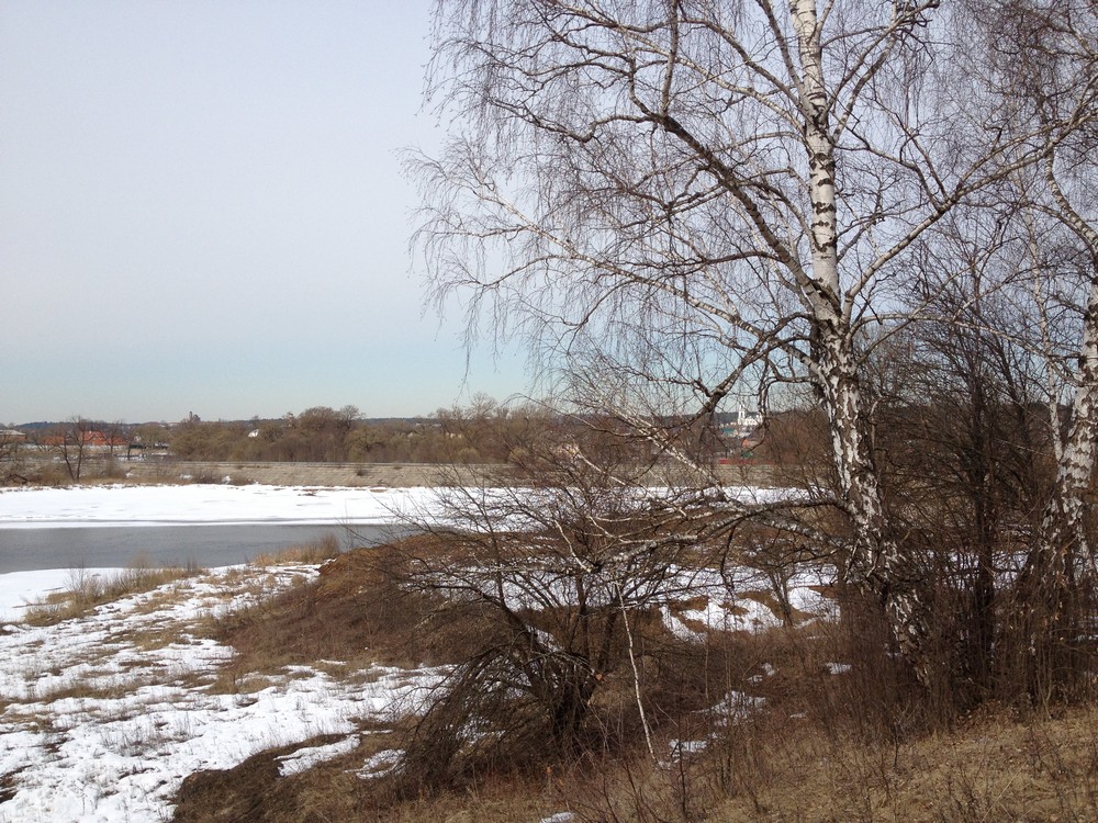 IMG_3337_31-1