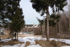 IMG_3321_31-1