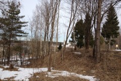 IMG_3329_31-1