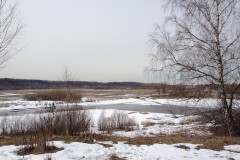 IMG_3335_31-1
