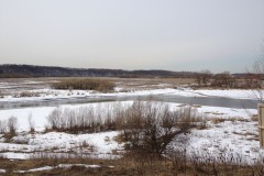 IMG_3336_31-1