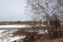 IMG_3337_31-1