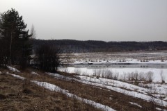 IMG_3338_31-1