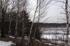 IMG_3341_31-1