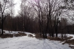 IMG_3347_31-1