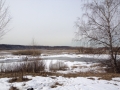 IMG_3335_31-1