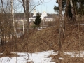 IMG_3346_31-1
