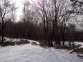 IMG_3347_31-1