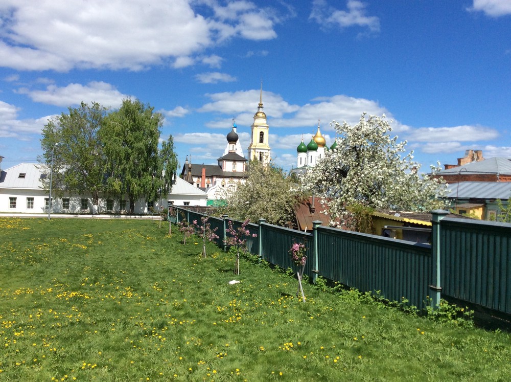 IMG_2294_37-1