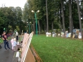 IMG_2343_5-1