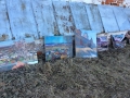 IMG_1482_33-1