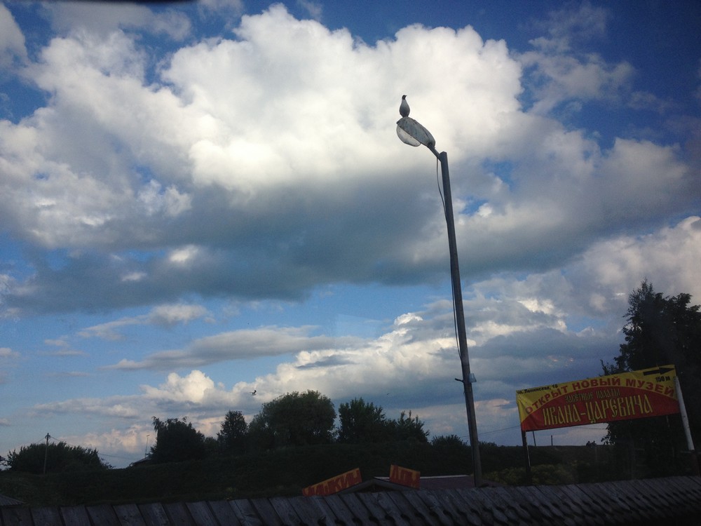 IMG_3779_40-1