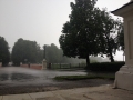 IMG_3684_39-1